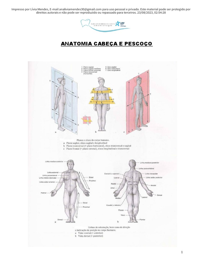 Anatomia Da Cabeça E Pescoço Pdf