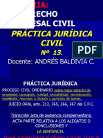 Práctica Acta de Audiencia Complementaria