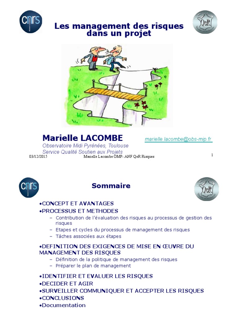 Management des Risques de Projet | PDF | Risque | Sécurité