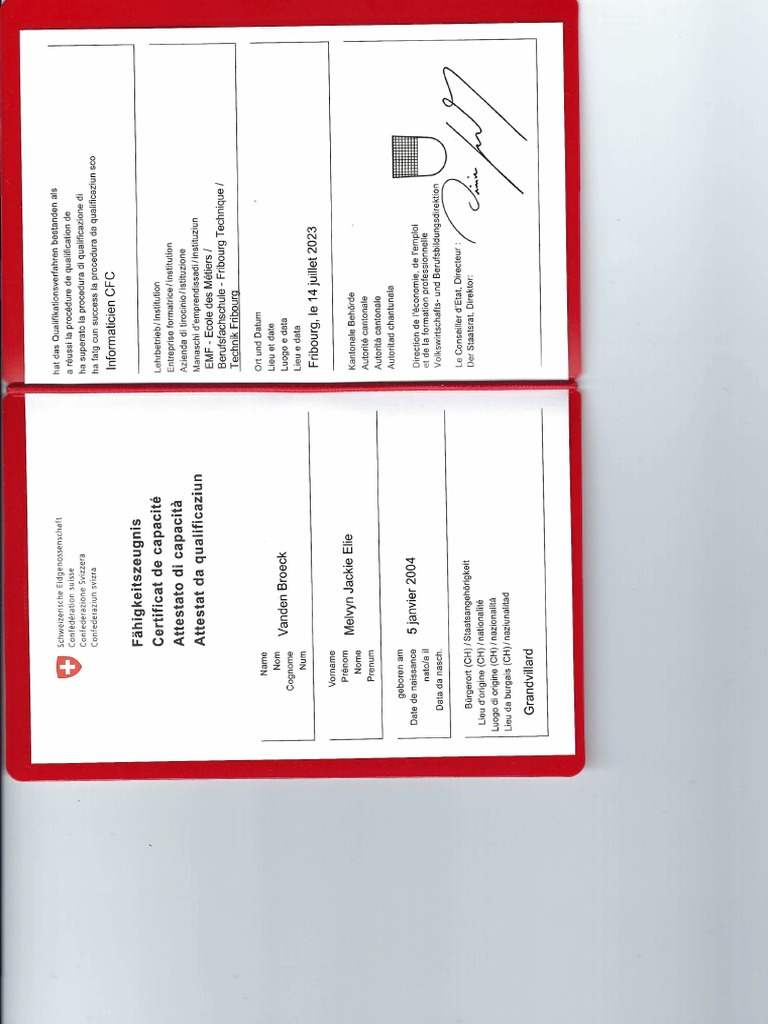 CFC PDF