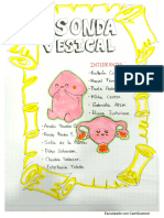 Sonda Vesical