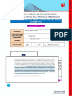 Formato para La Matriz de Información Relevante