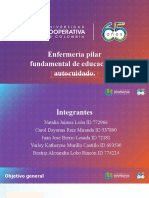 Proyecto Formativo