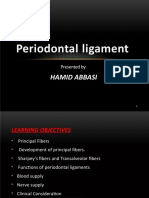 Periodontal Ligament