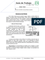 8basico - Guia Trabajo Ciencias - Semana 17