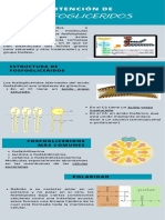 Infografia Fosfogliceridos