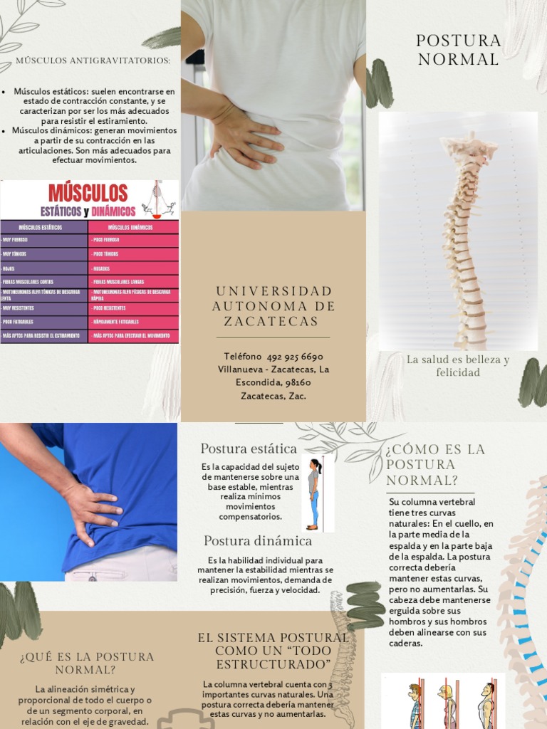 Postura Correcta y Salud | PDF | La columna vertebral | Contracción ...