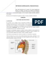 Anatomia 2