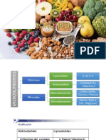 Micronutrientes 2022