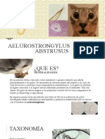 Aelurostrongylus Abstrusus - Diana