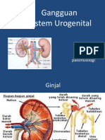 Gangguan Urogenital