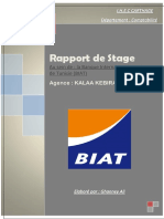 Rapport de Stage Biat