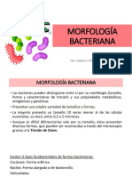 Morfología Bacteriana