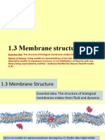 1.3 Membrane Structure Ss Part 1. and 2pptx