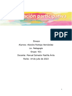 Ensayo Investigación Participativa