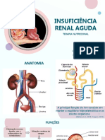 Insuficiência Renal Aguda