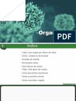 Organização Celular