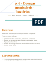 Cap. 6 - Doenças Transmissíveis - Bactérias