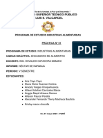 INFORME NECTAR DE NARANJA Practica 1