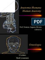 Osteologia - Normas Cranianas