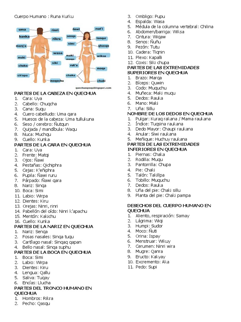 Cuerpo Humano Quechua | PDF | Anatomía humana | Anatomía