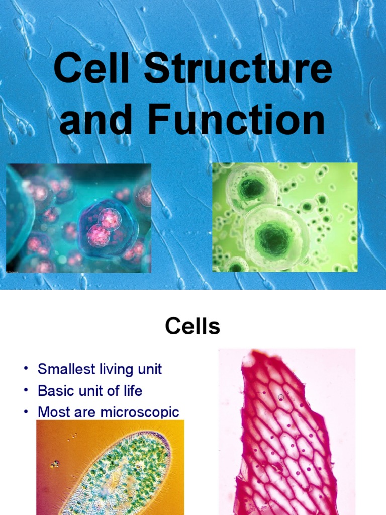 Cell parts and function PDF