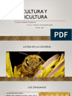 Apicultura y Piscicultura - OBRERA Y ZÁNGANO