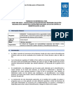 PNUD MINAM - Consultoría para La Actualización Programa de Acción Nacional