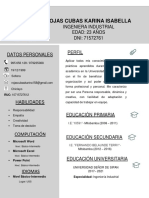 Curriculum Vitae Rojas Cubas Karina.