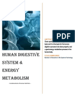 Human Digestive System