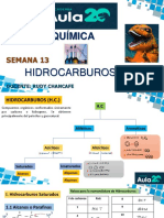 Hidrocarburos 1