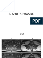 Si Joint Pathologies