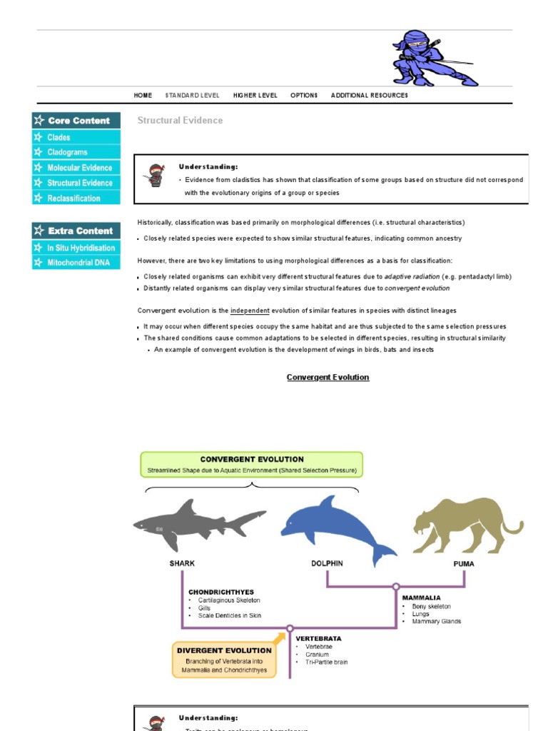 Structural Evidence in Cladistics | PDF | Science & Mathematics
