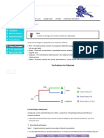 2 Cladograms - BioNinja