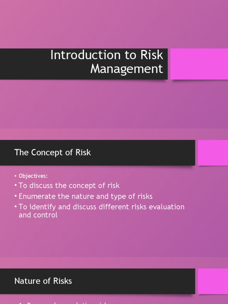 Understanding Risk Management Basics | PDF | Career & Growth