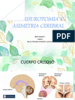 Comisurotomia y Asimetria Cerebral-1