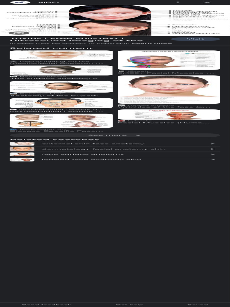 Anatomy Face Muscle Asian Vs Western Google Search PDF