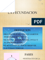 La Fecundacion