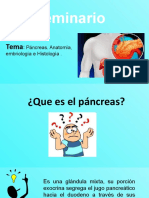 Pancreas Seminario