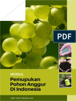 Modul Pemupukan Pohon Anggur Di Indonesia