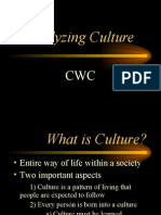 Culture PP