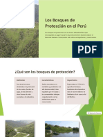 Los Bosques de Proteccion en El Peru