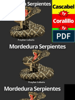 Mordedura de Serpientes