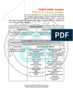 PDF Zang-Fu Escuela Española de Terapeutas