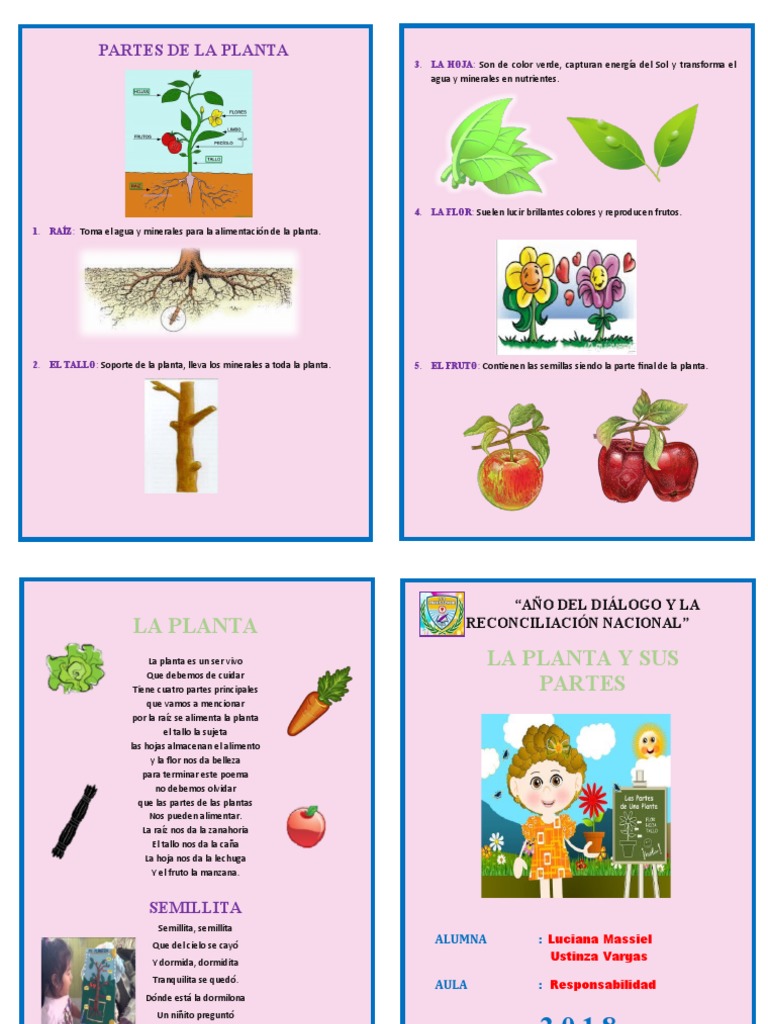 diptico-las-partes-de-la-planta-pdf
