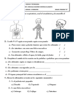 Repaso Ii Trimestre Ciencia y Tecnologia 2023