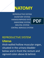 ANATOMY2 Paramedical