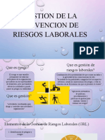 Riesgos Laborales