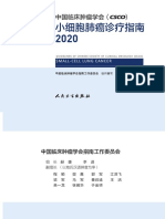 CSCO小细胞肺癌诊疗指南2020