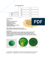 Estudio e Identificacion de Vibrio Cholerae y Leptospira